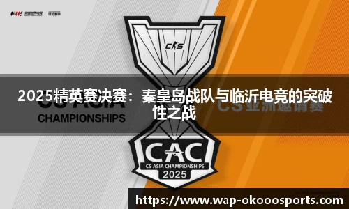 2025精英赛决赛：秦皇岛战队与临沂电竞的突破性之战